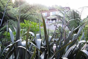 view of house from reserve