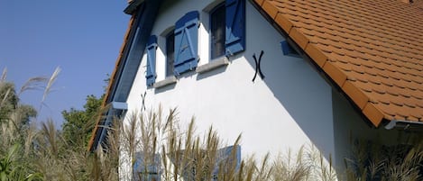 Detalle exterior