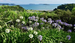 Expansive views of the Hauraki Gulf