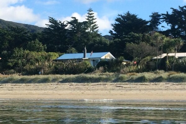 Starfish from the sea