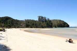 Beach looking North