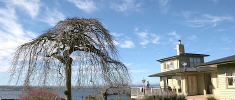 Acacia Bay Crow's Nest