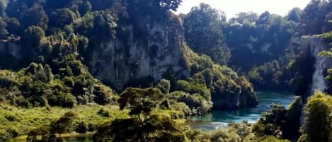 Tranquil view of the Waikato River