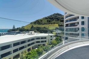 View of Mauao from balcony