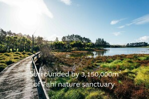 You will be surrounded by 3,150,000 m2 of Tahi restored nature sanctuary.