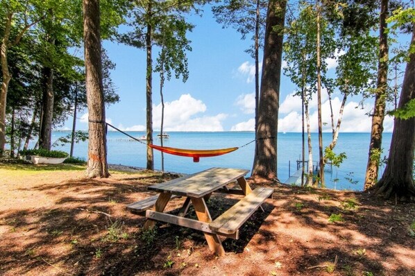 Backyard. Hammock and picnic table