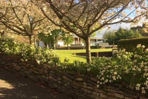 Driveway - springtime