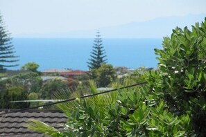 harbour views in the distance