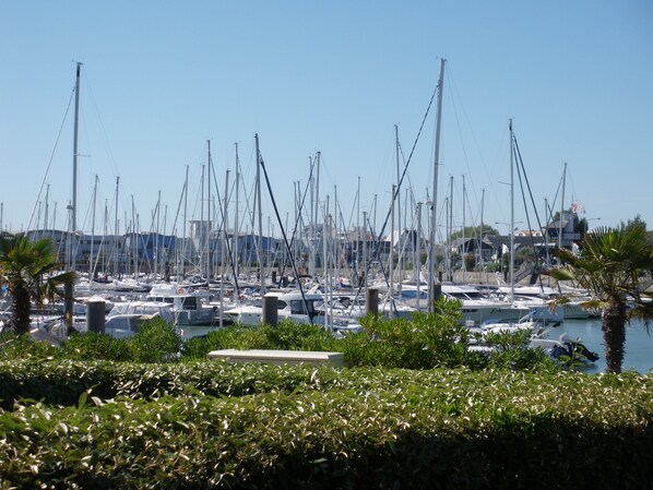Marina