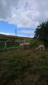 The Den - Doals Farm - Weir, Bacup, 1 Bedroom Holiday Cottage