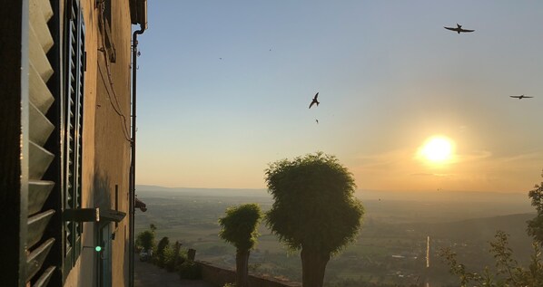 View from property