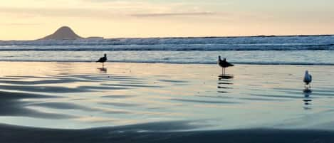 Ōhope Beach , handy & close