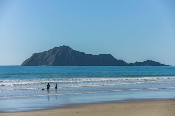 Waimarama Beach walk