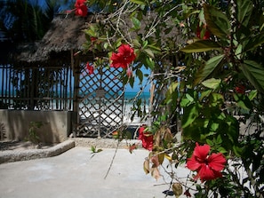 Beach gate with hibiscus flower