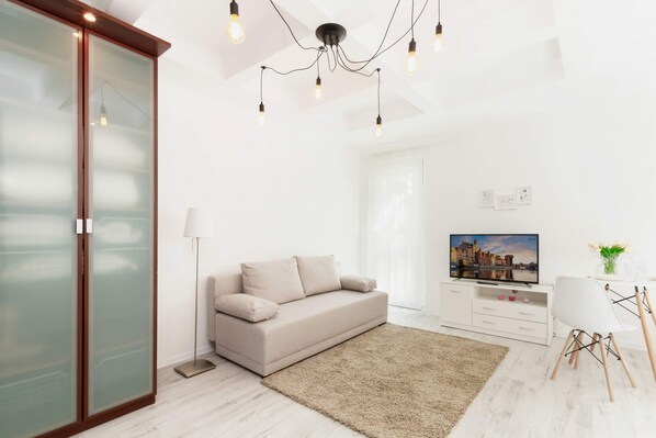 Spacious living room with full equipment. 