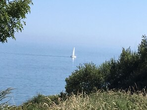 Sailing by the back garden