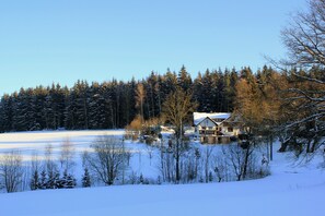 Winterbild Januar 2016