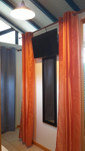 Television