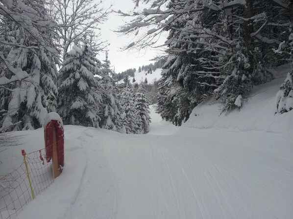 Snow and ski sports