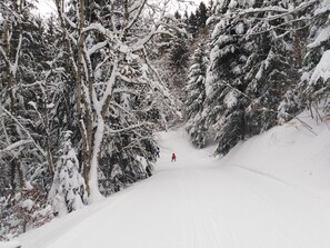 Snow and ski sports