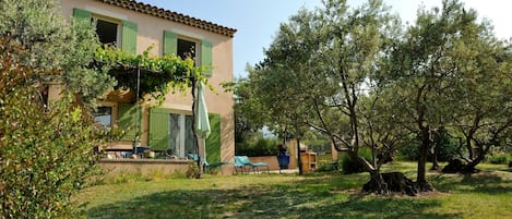 Vue d'ensemble de la maison avec le jardin planté d'oliviers.