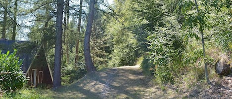 Parco della struttura