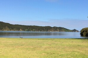 Clendon Cove foreshore