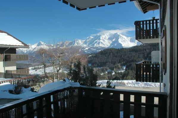 Vue sur le Mont-Blanc
Mont-Blanc view