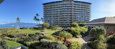 Breathtaking panorama from the balcony of #264! Molokai, tower 1, lobby