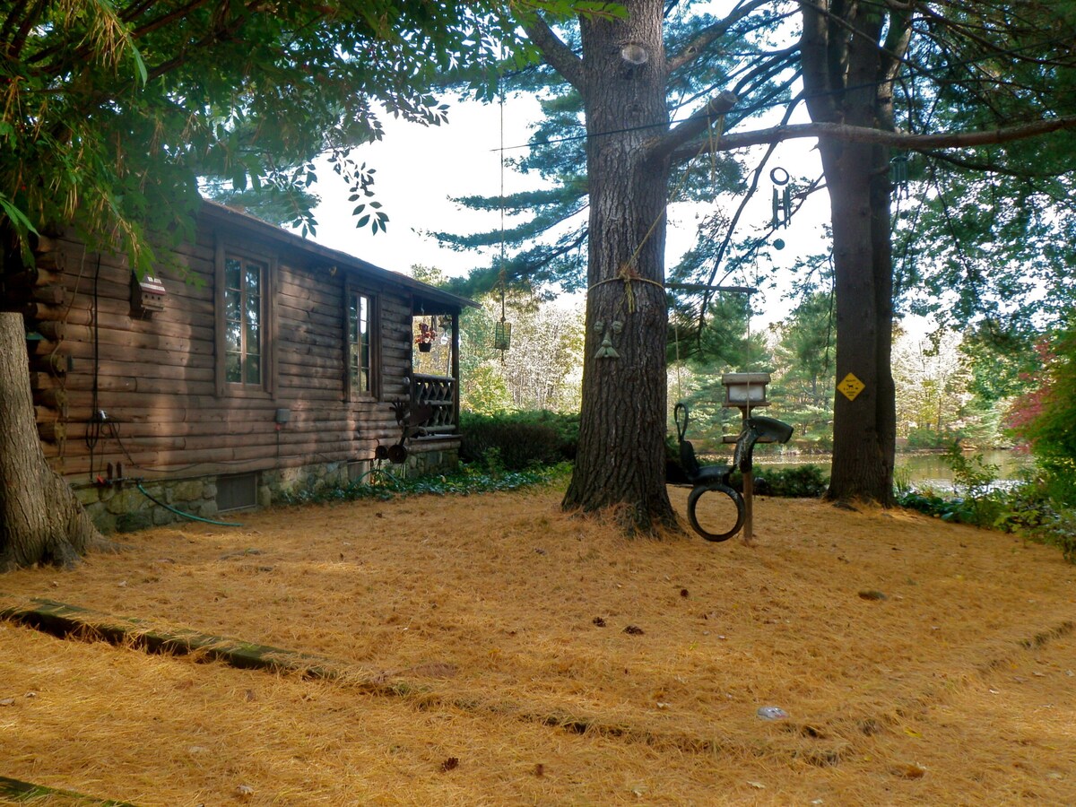 Main Image
