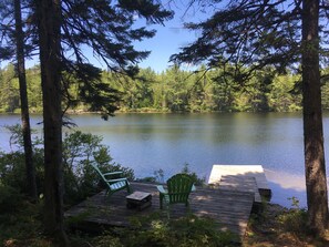 250 of private frontage on the undeveloped end of the lake. Canoe provided. 