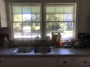 View from the kitchen into Alice's park
