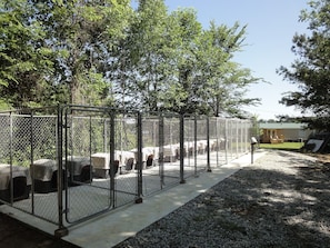 16 run kennels with lights and water sit to the south side of the Farmhouse