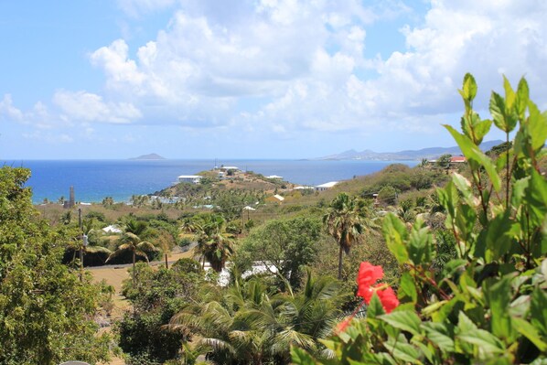 View from the deck with the Fabulous Buck Island on the horizon.