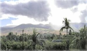 The view from the mountain side lanai.