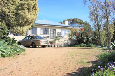 Cosy & cheerful three bedroom cottage with sea views & wifi - pets welcome!