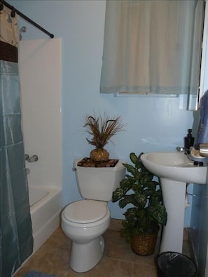 bathroom with shower/tub combination