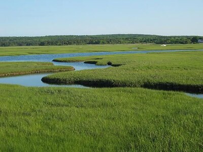 CAPE COD GETAWAY! Walk to Beaches, Marina & Cape Cod Canal