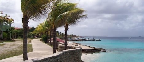 Oceanfront promenade at Sand Dollar Resort