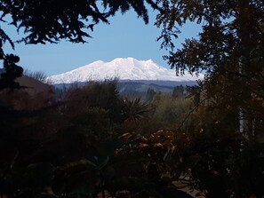 Terrain de l’hébergement 