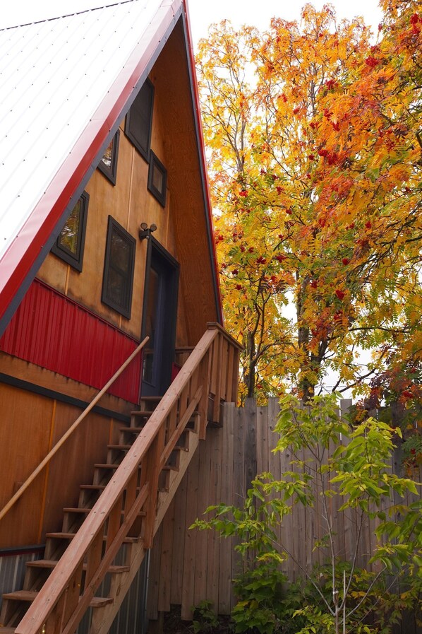 Fall colors at the Mokki Birdhouse