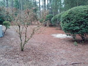 side yard with horseshoe pit