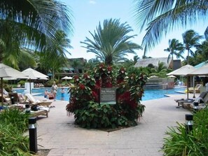 Main pool