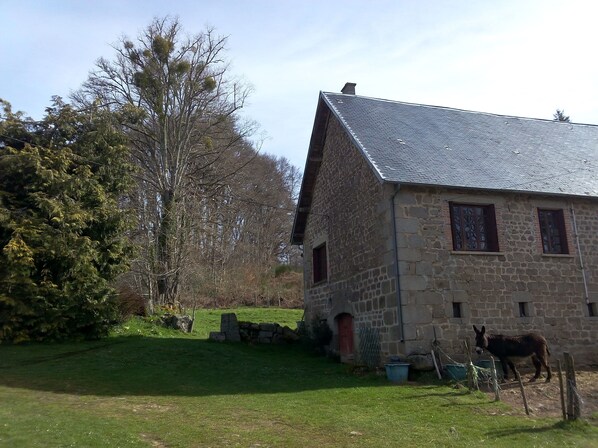 Extérieur