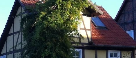 Das Ferienhaus im Sommer