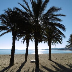 Grande Plage du Lavandou