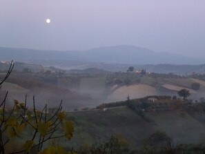 Early morning mist