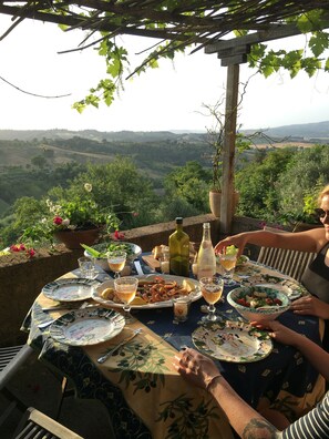 The terrace, a perfect place to eat under a vine on a hot day 