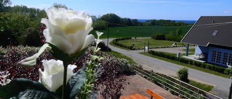 Blick auf die Ostsee
