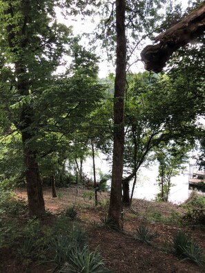 Path to the boat dock